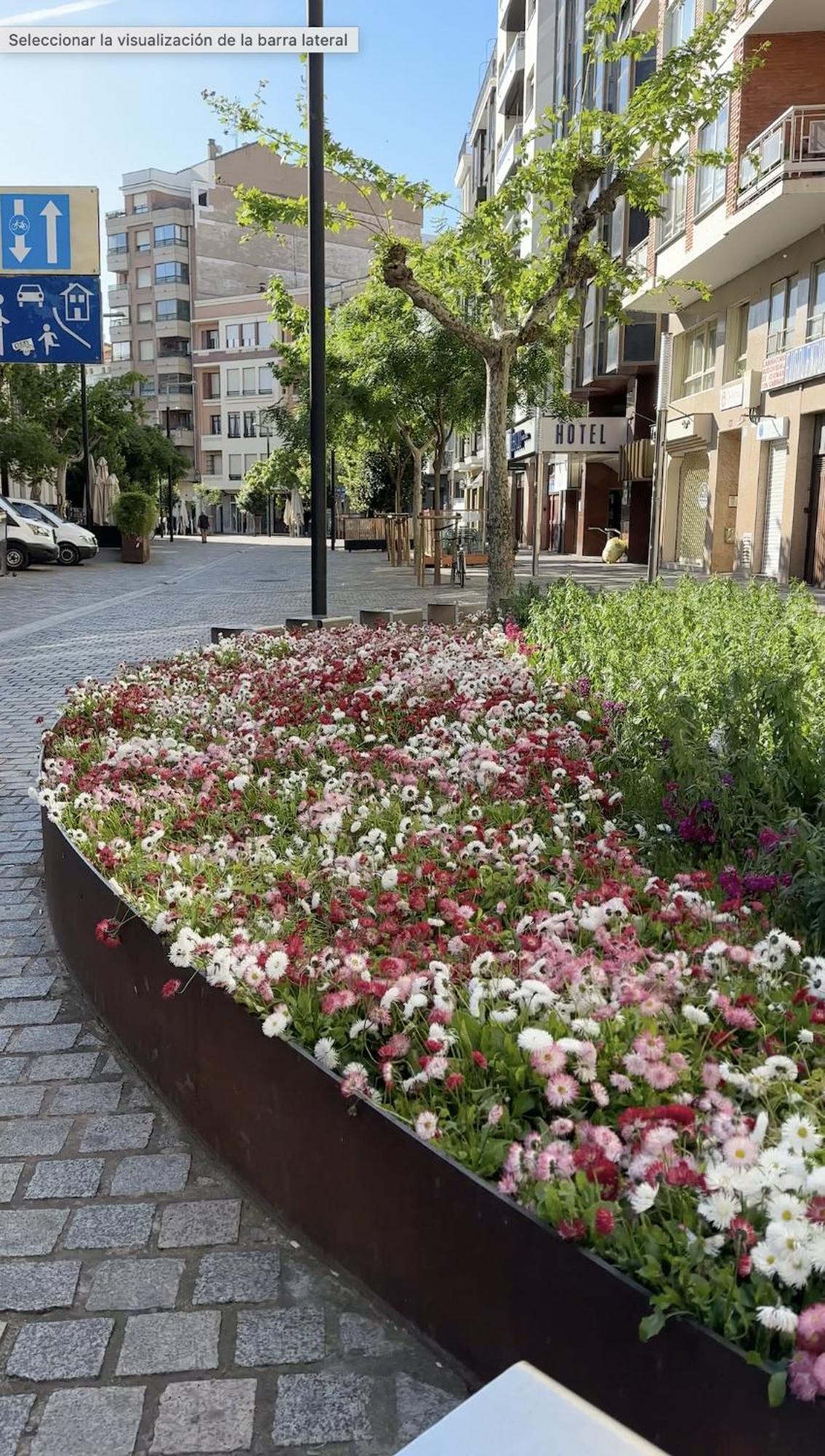 Esencia Del Casco Antiguo Leilighet Logroño Eksteriør bilde
